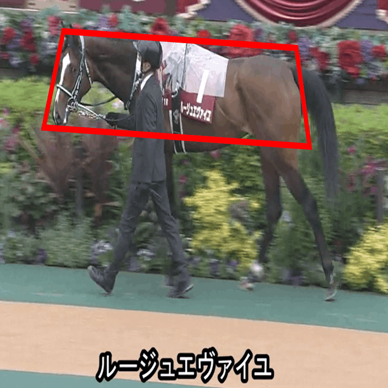 優駿牝馬g1 全18頭馬体考察であぶり出す 馬 パドックくん 馬体 パドック予想 Note