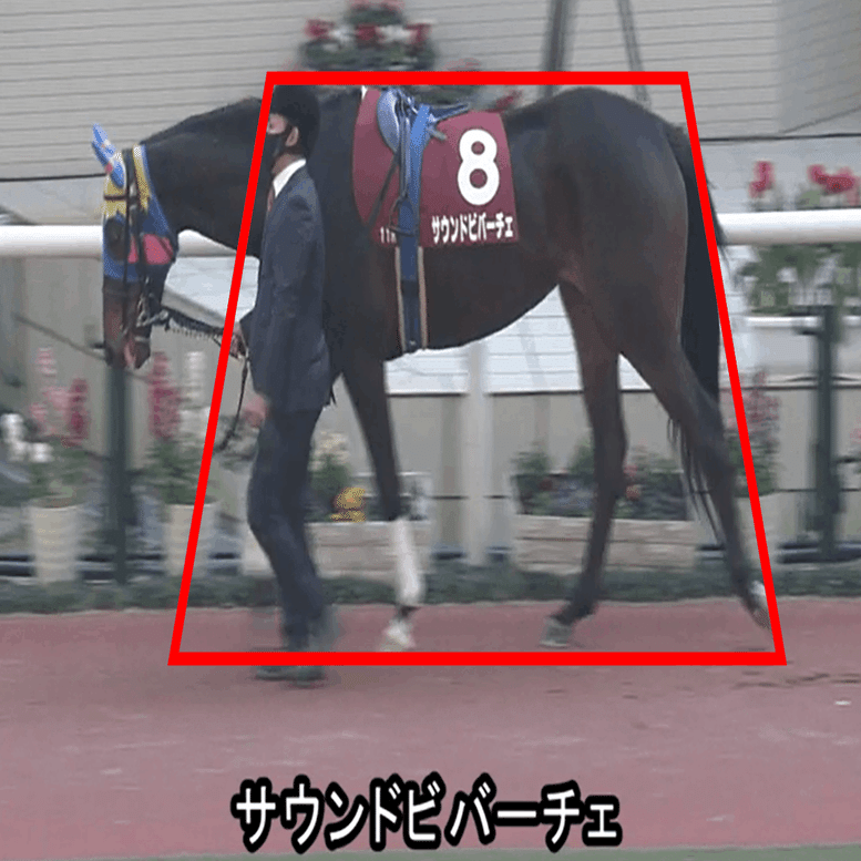 優駿牝馬g1 全18頭馬体考察であぶり出す 馬 パドックくん 馬体 パドック予想 Note