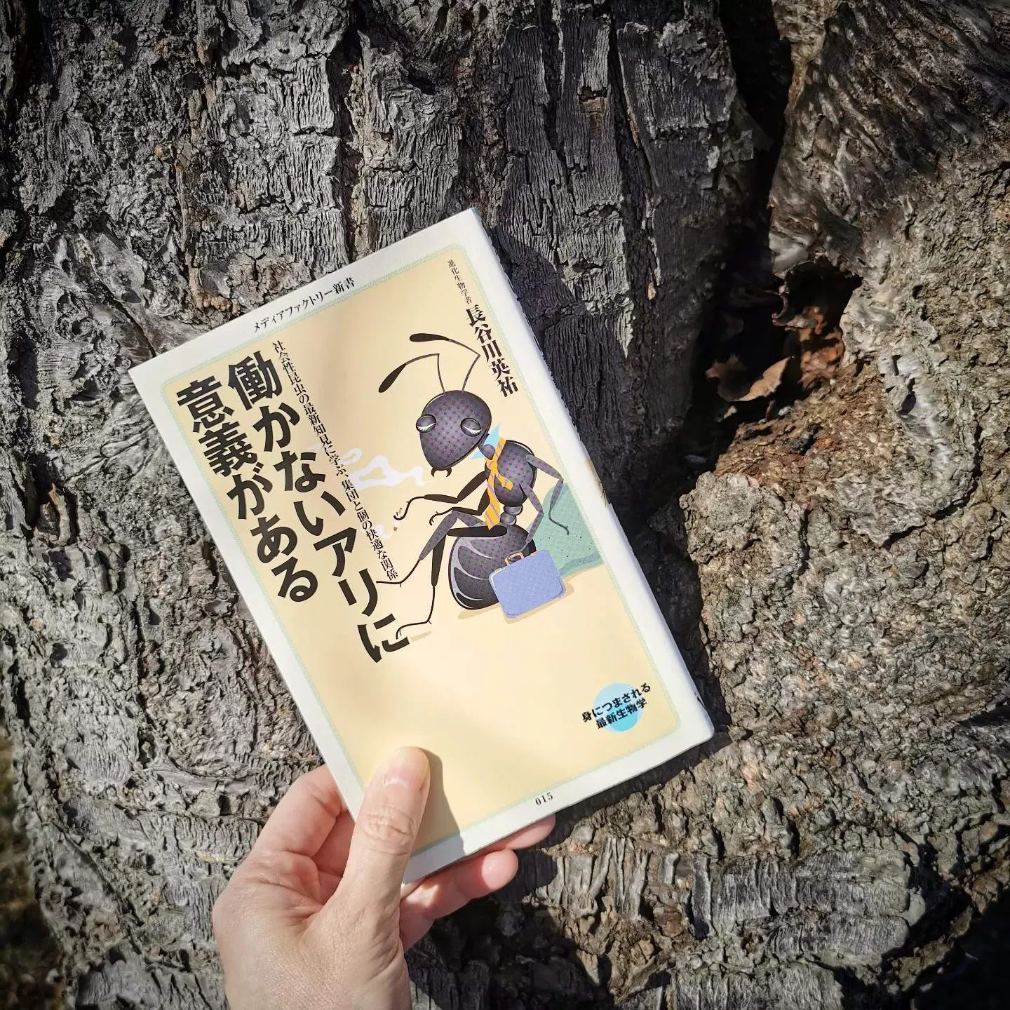 働かないアリに意義がある ｜アサミメーコ