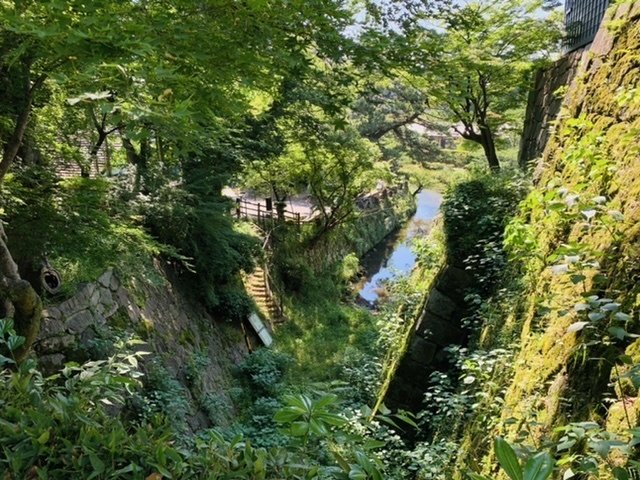お城】岡崎城（愛知県岡崎市）｜サザヱ