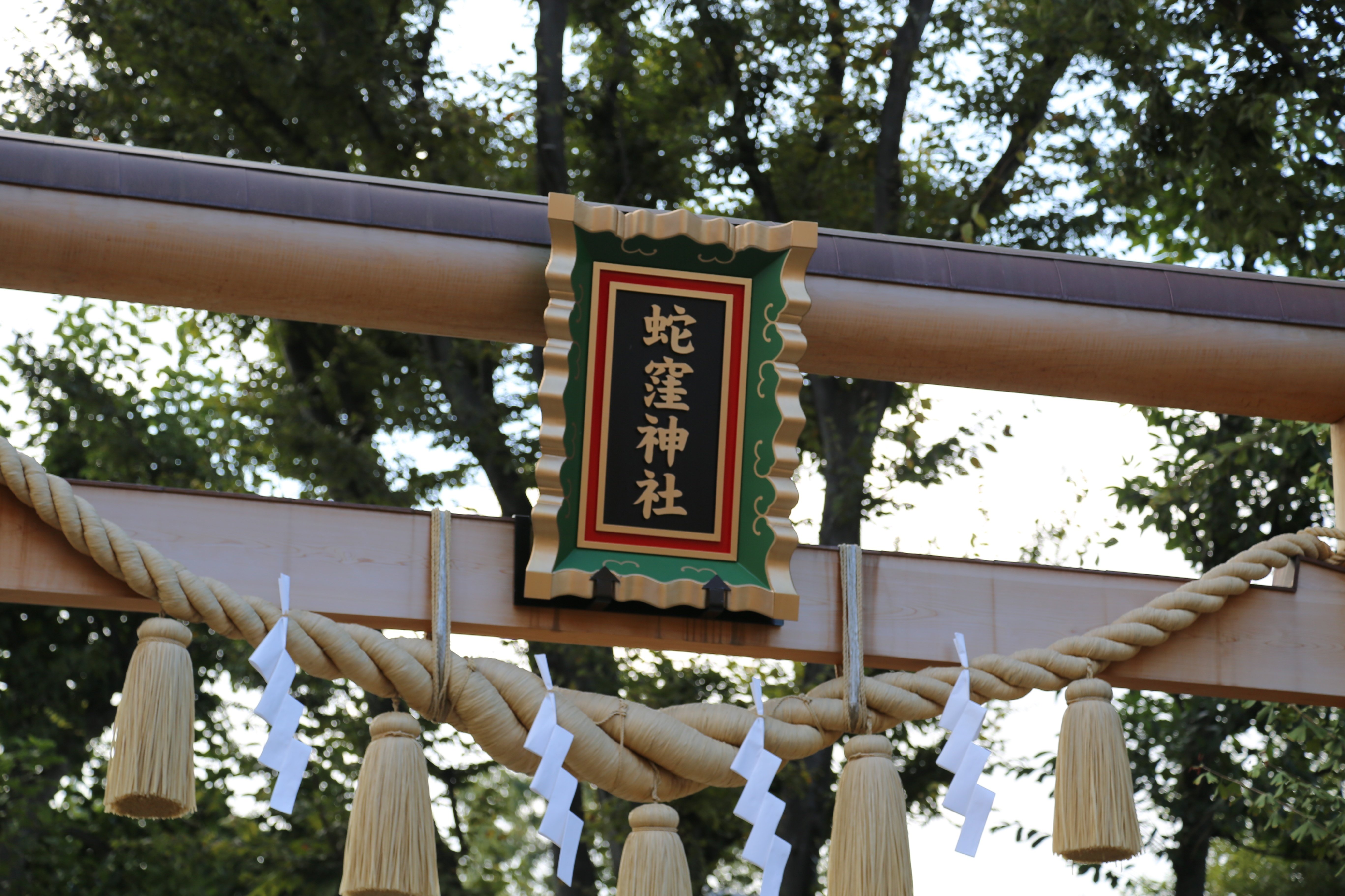 金運爆上がりの蛇窪神社｜はる之助🍥🌈🍀🐉✨💫