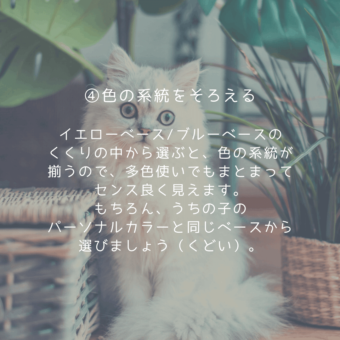 センス良く見えて「うちの子」が映えるインテリアの作り方【基本編  