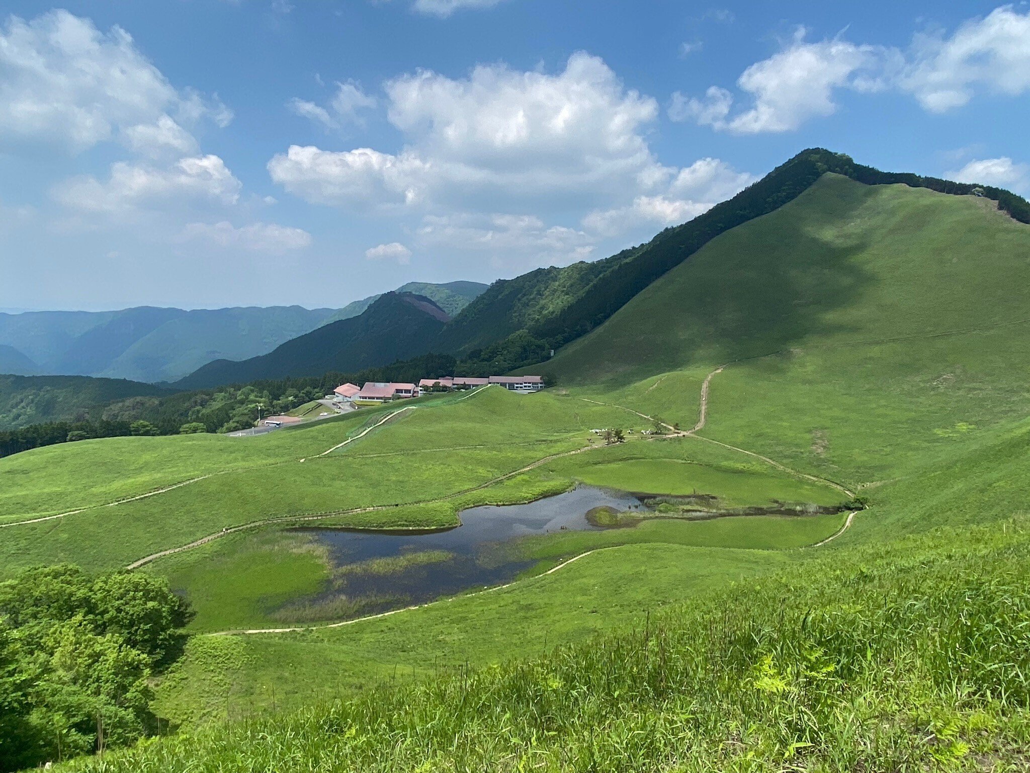 76 初夏の曽爾高原でそよかぜを感じる｜ミヤコカエデ（Miyako Kaede)