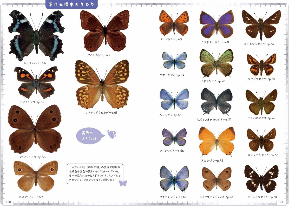 蝶 世界のゼフィルス大図鑑 若返っ 