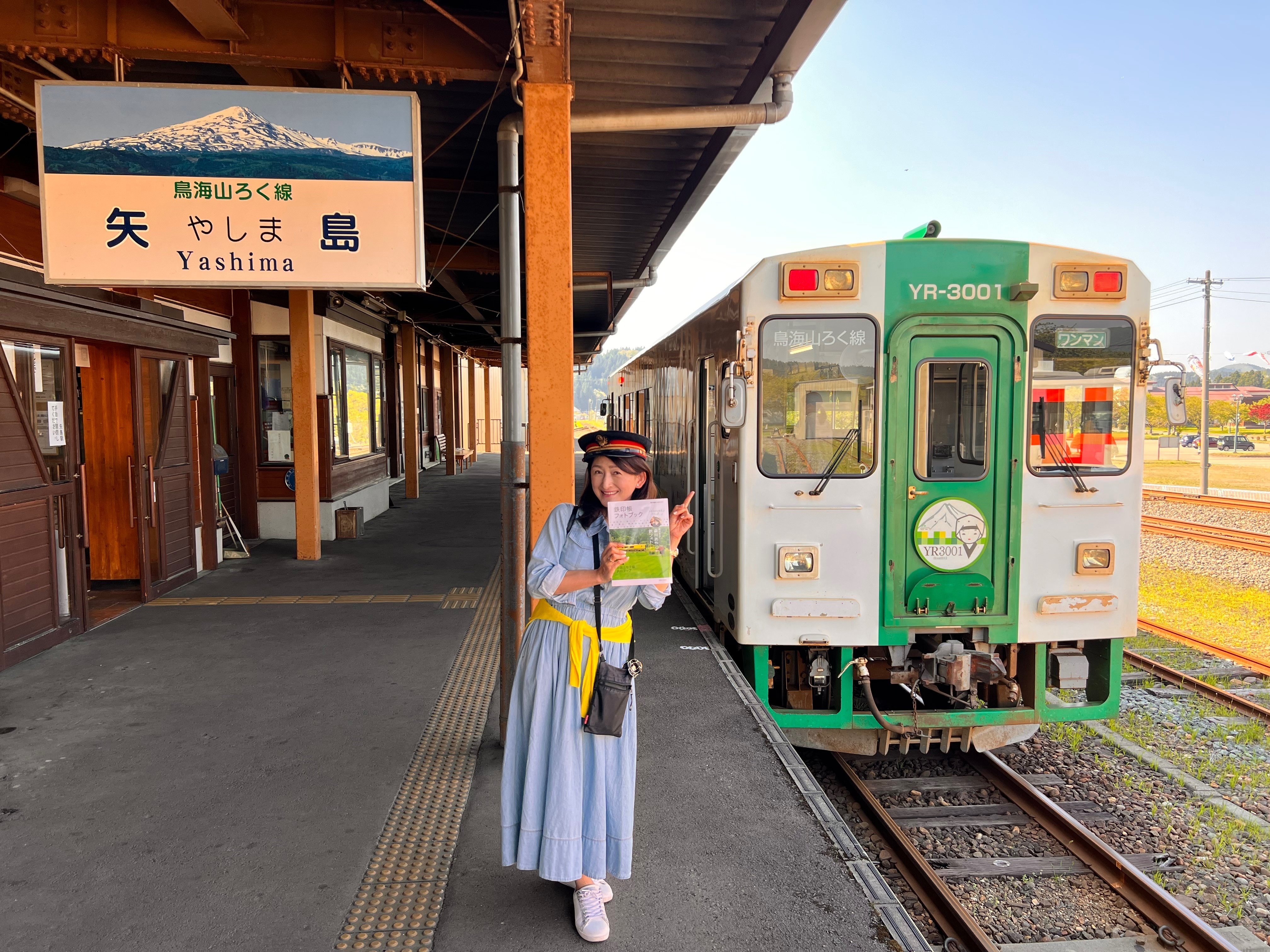 鉄道部品] 小田急3000形運転台 NFB 合図ブザー スイッチ 【公式通販】