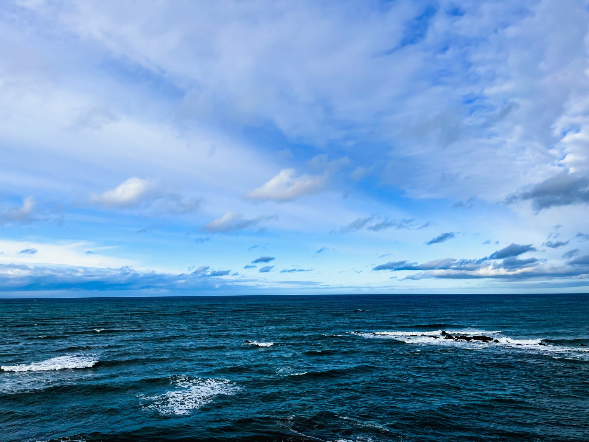 読むと知らず知らずのうちに 何度も猿払を訪れたくなってしまう危険な記事 北海道猿払村 読むと知らず知らずのうちに 何度も猿払を訪れたくなってしまう危険な記事 北海道猿払村