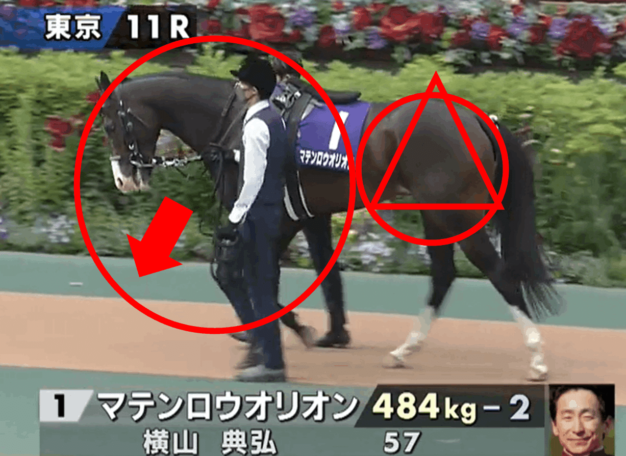 日本ダービー 馬体診断から導く超厳選 馬 パドックくん 馬体 パドック予想 Note