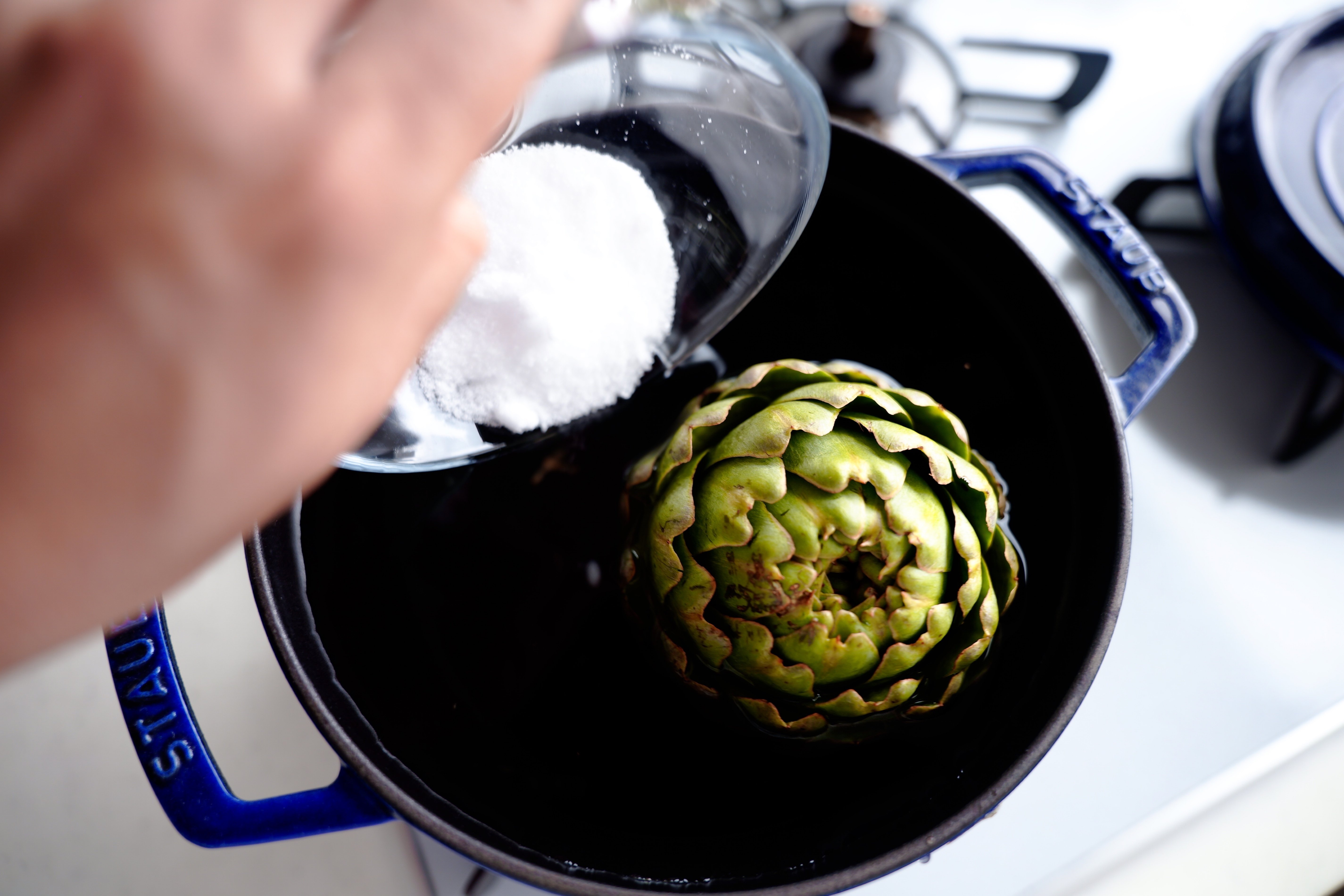 謎野菜シリーズ〉アーティチョーク｜樋口直哉(TravelingFoodLab.)