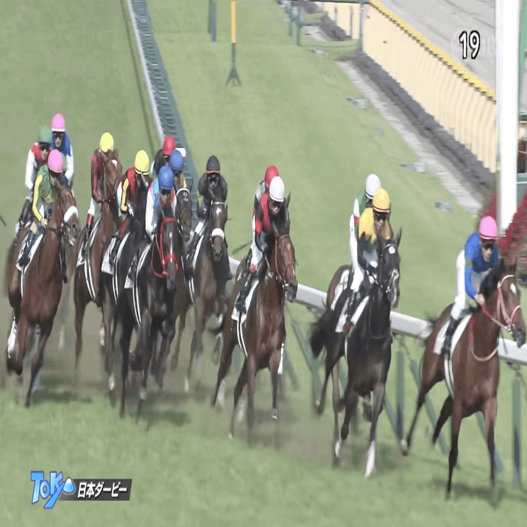 昔のダービーを見たら・・｜稲庭うどん