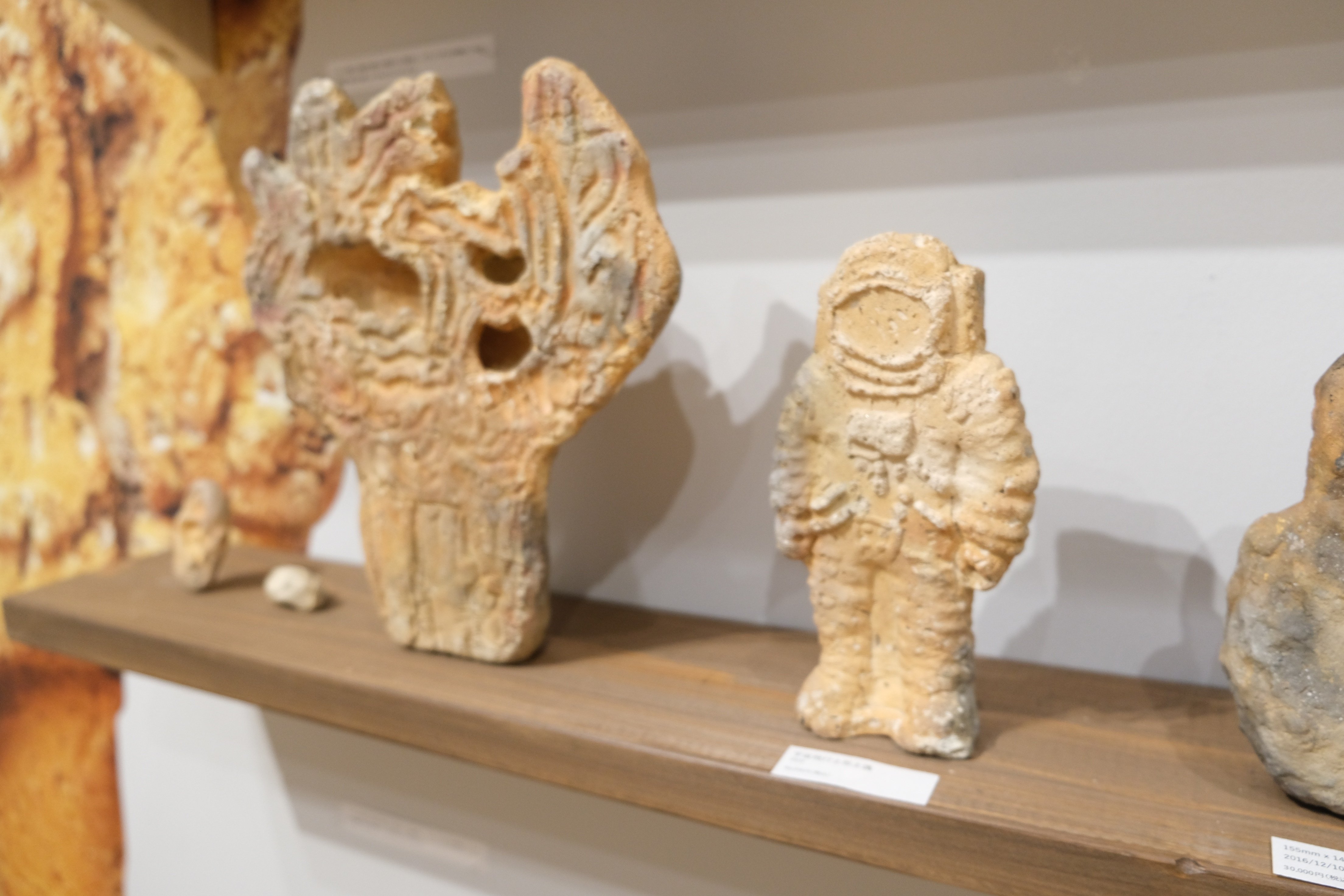 基本から学ぶ土と成形 81u0rphZKwL._AC_UF350,