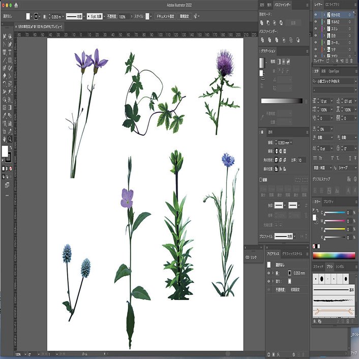 Illustratorの 画像トレース 機能を使ってイラスト作成 海丸ミチ Note