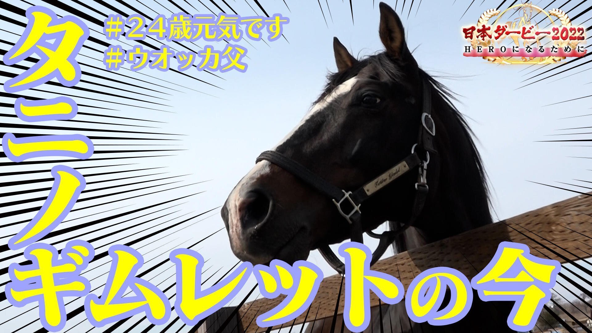 武豊騎手とダービー馬６頭 その軌跡 ゆゆゆ Note