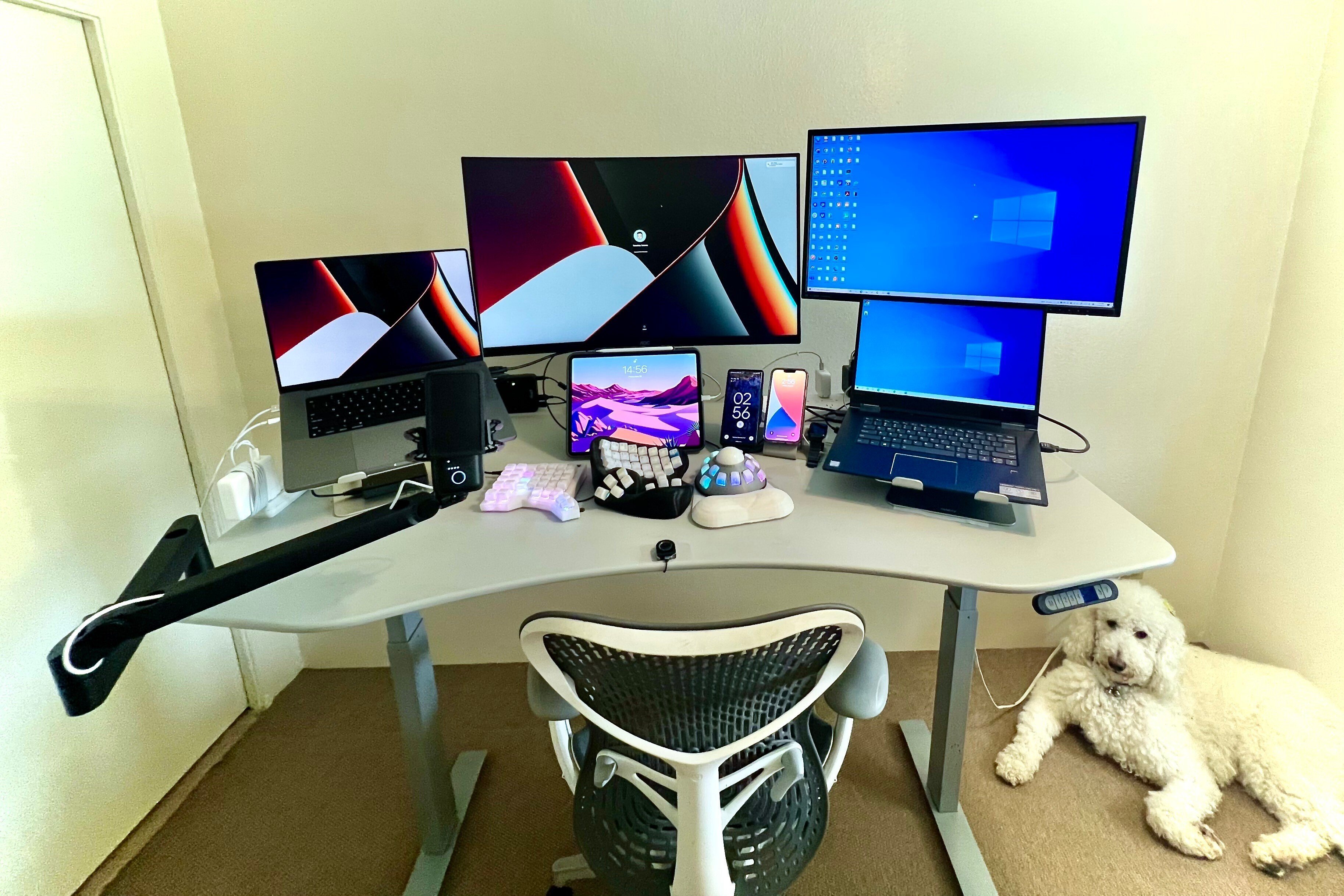 Maidesite live 電動昇降デスク 120*60cm 木目色 リモートワーカーの