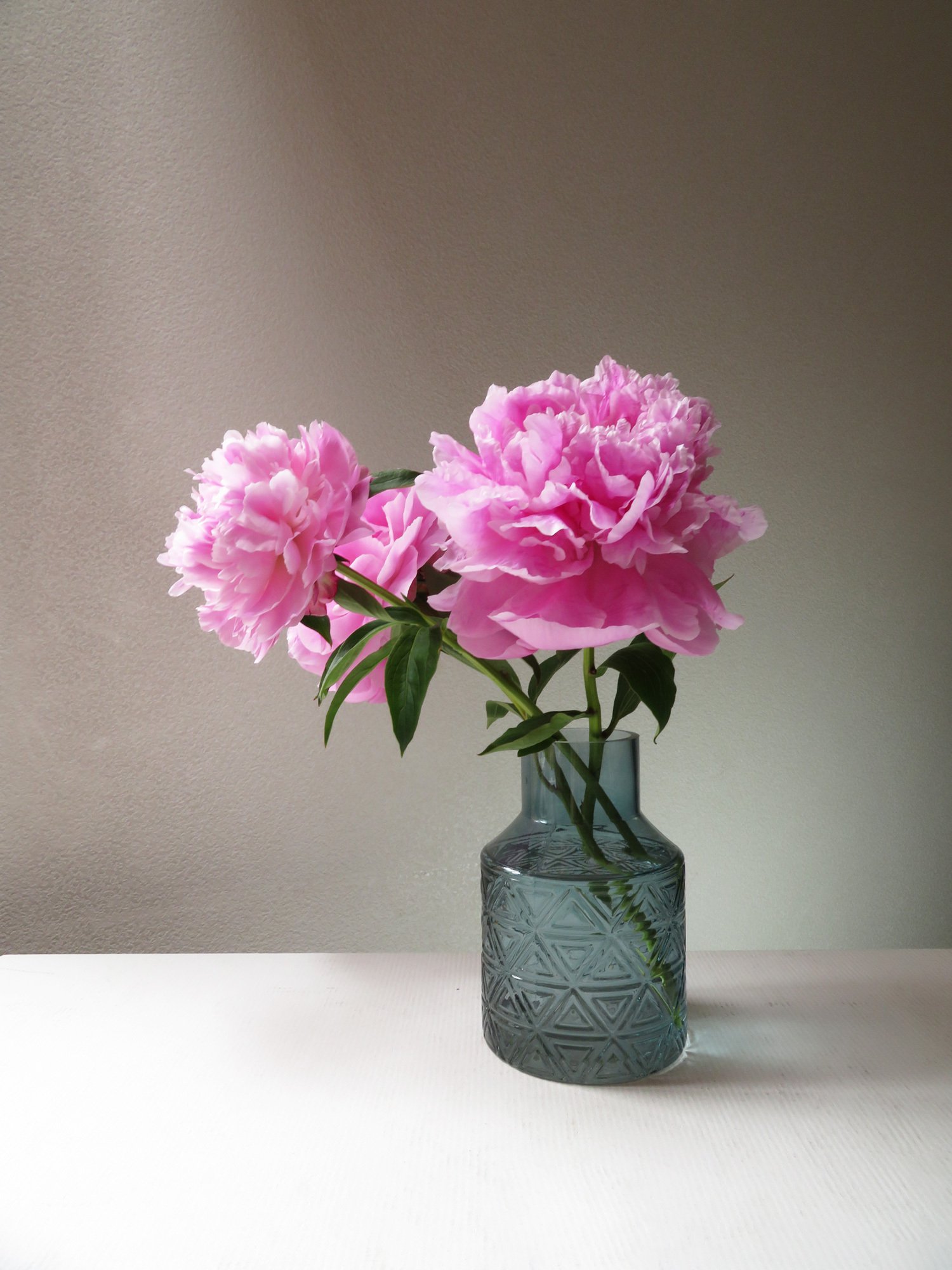 芍薬が好きすぎて ふたたび 花と日々 Yas Note