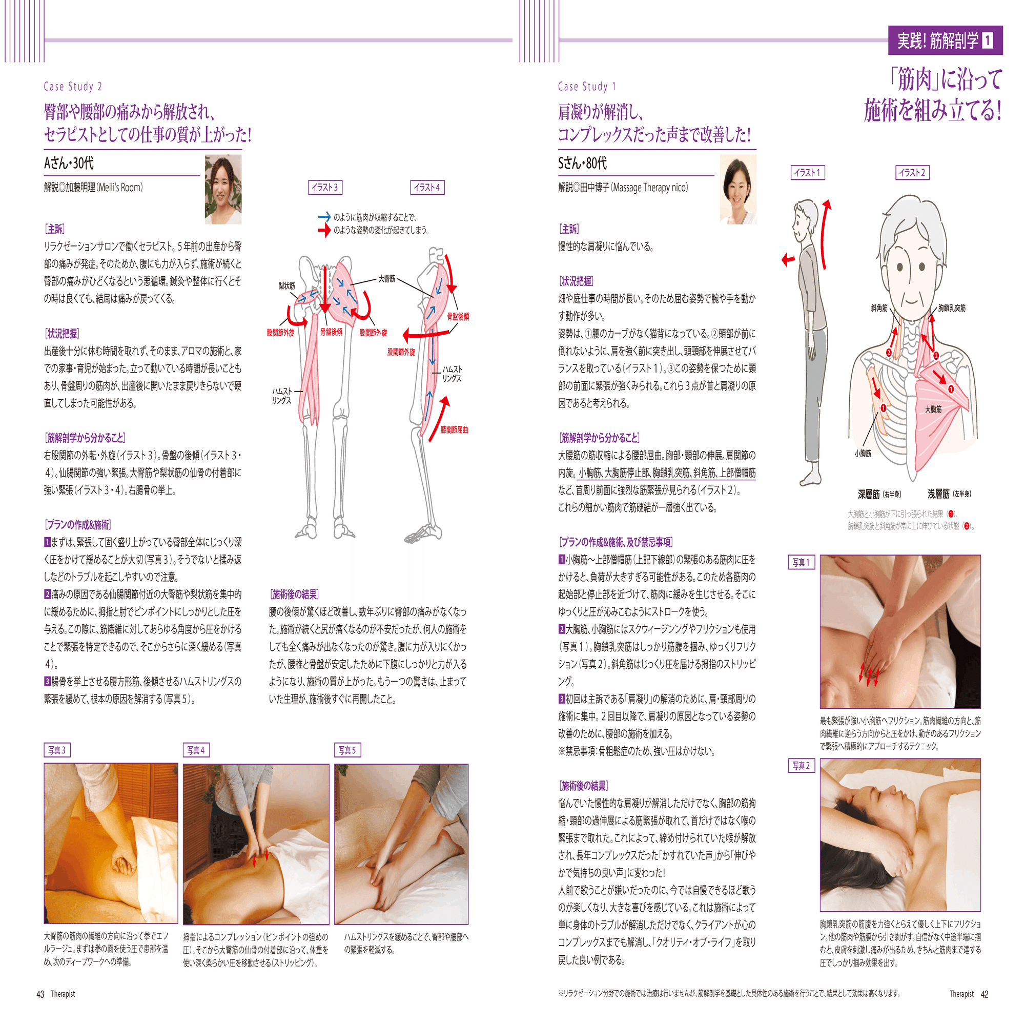 ずっと気になってた 整体 MTセラピー解説資料 実践に役立ちます 健康