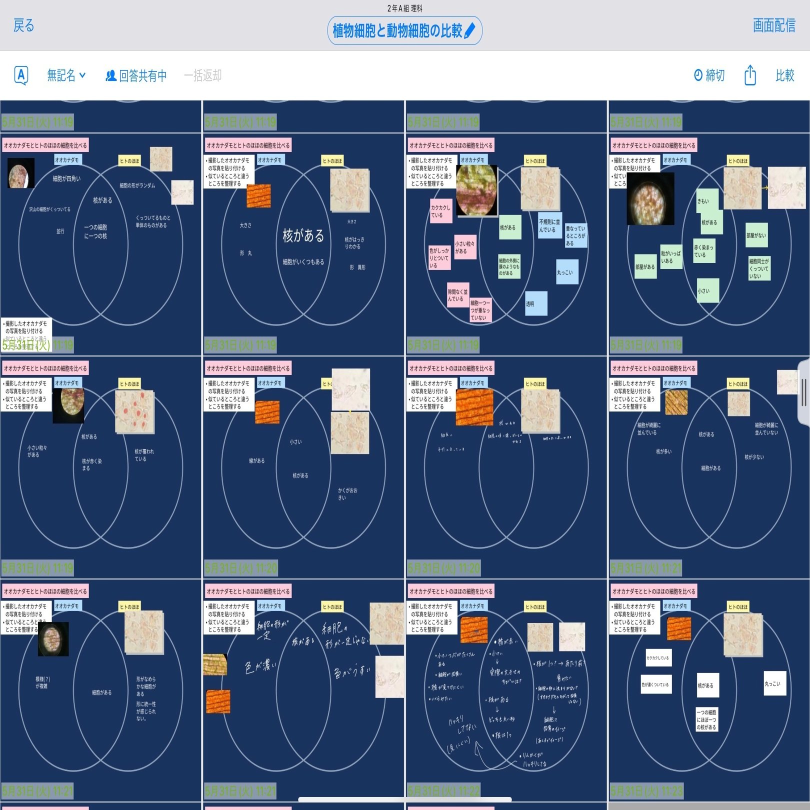 An anatomical study of the adult human face: Distribution of elastic fibers  and collagen fibers in the skin and subcutaneus tiss, image size:2000x1357
