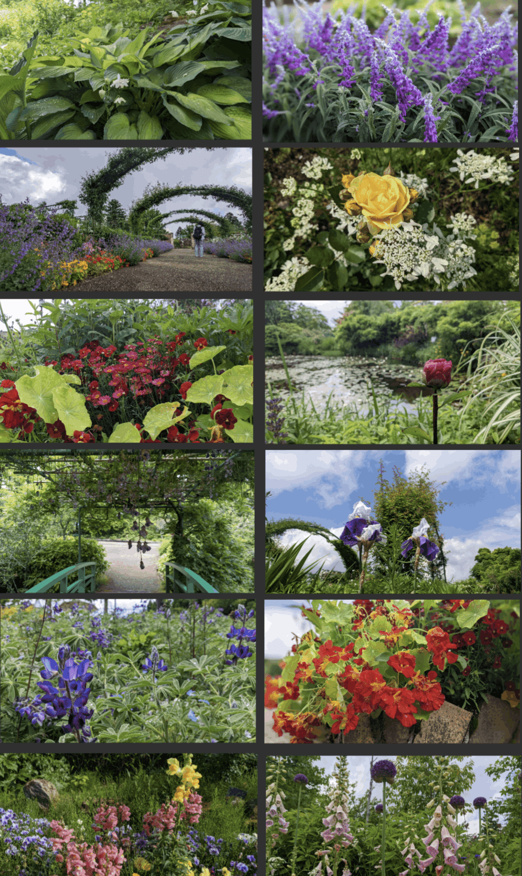 コラム 旅行 比叡山 京都 ヴァイオレット エヴァーガーデン 比叡山コラボで1日に2つ山に登った話 虫圭 O W カエル 腸内細菌学 心理学 発信中 Note コラム 旅行 比叡山 京都 ヴァイオレット エヴァーガーデン 比叡山コラボで1日に2つ山に登った話 虫圭 O W カエル 腸内細菌学 心理学 発信中 Note