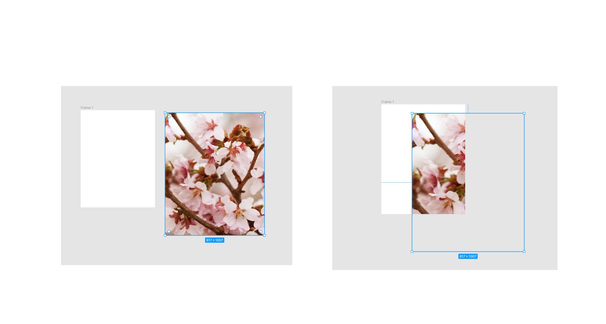 画像を挿入したい Figma Seika Usa Note 画像を挿入したい Figma Seika Usa Note