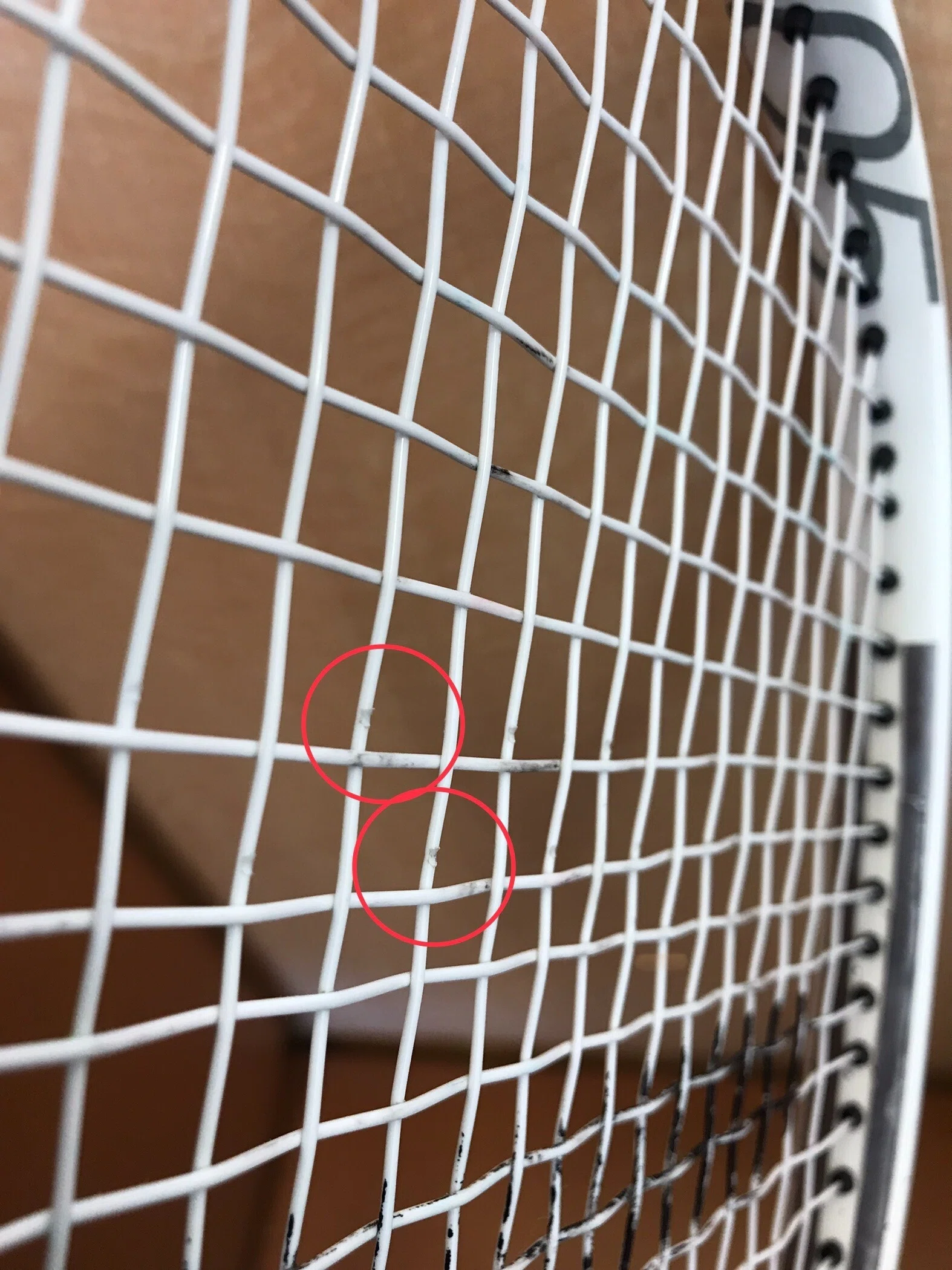 ガットが切れてます 【公式通販】