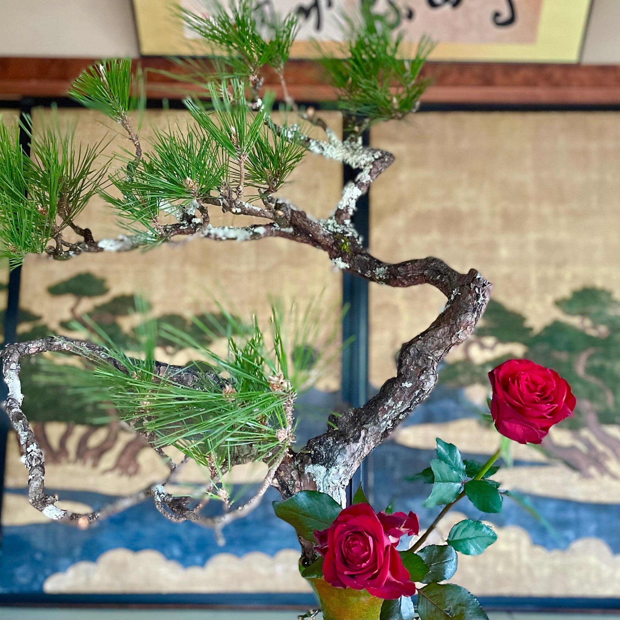 いけばなの日 実は古くから伝わる定番の組み合わせ 松とバラ 花の道しるべ From 京都 ほんのひととき Note