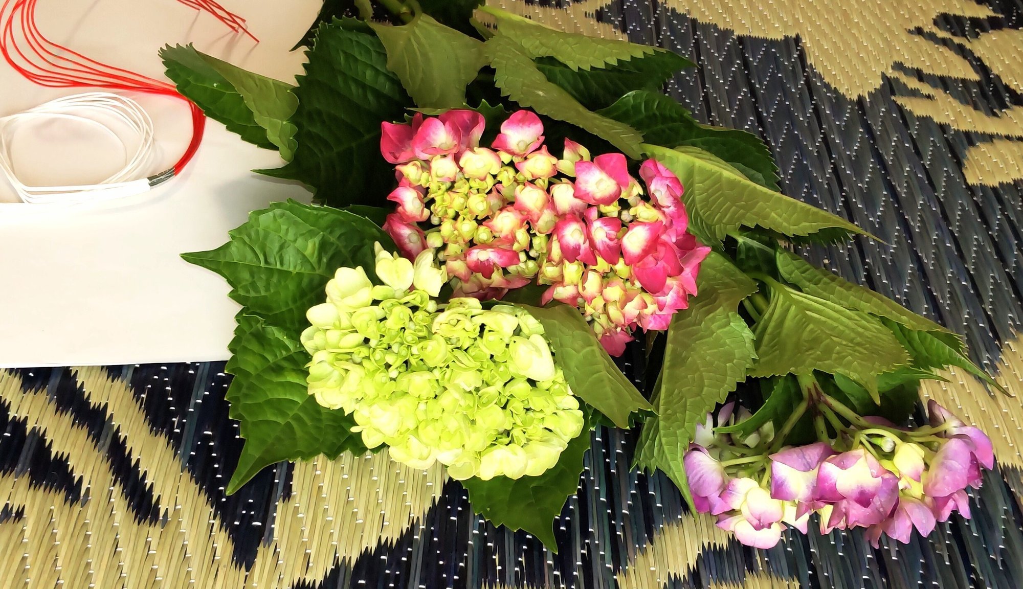 6月の花 紫陽花を使ったおまじない ひろ Note 6月の花 紫陽花を使ったおまじない ひろ Note