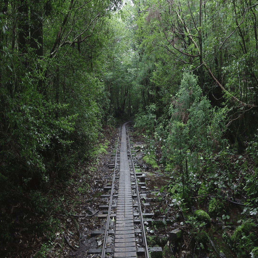 私は〇〇のために運動する」藤原紀香さんが語る健康管理で気遣っている