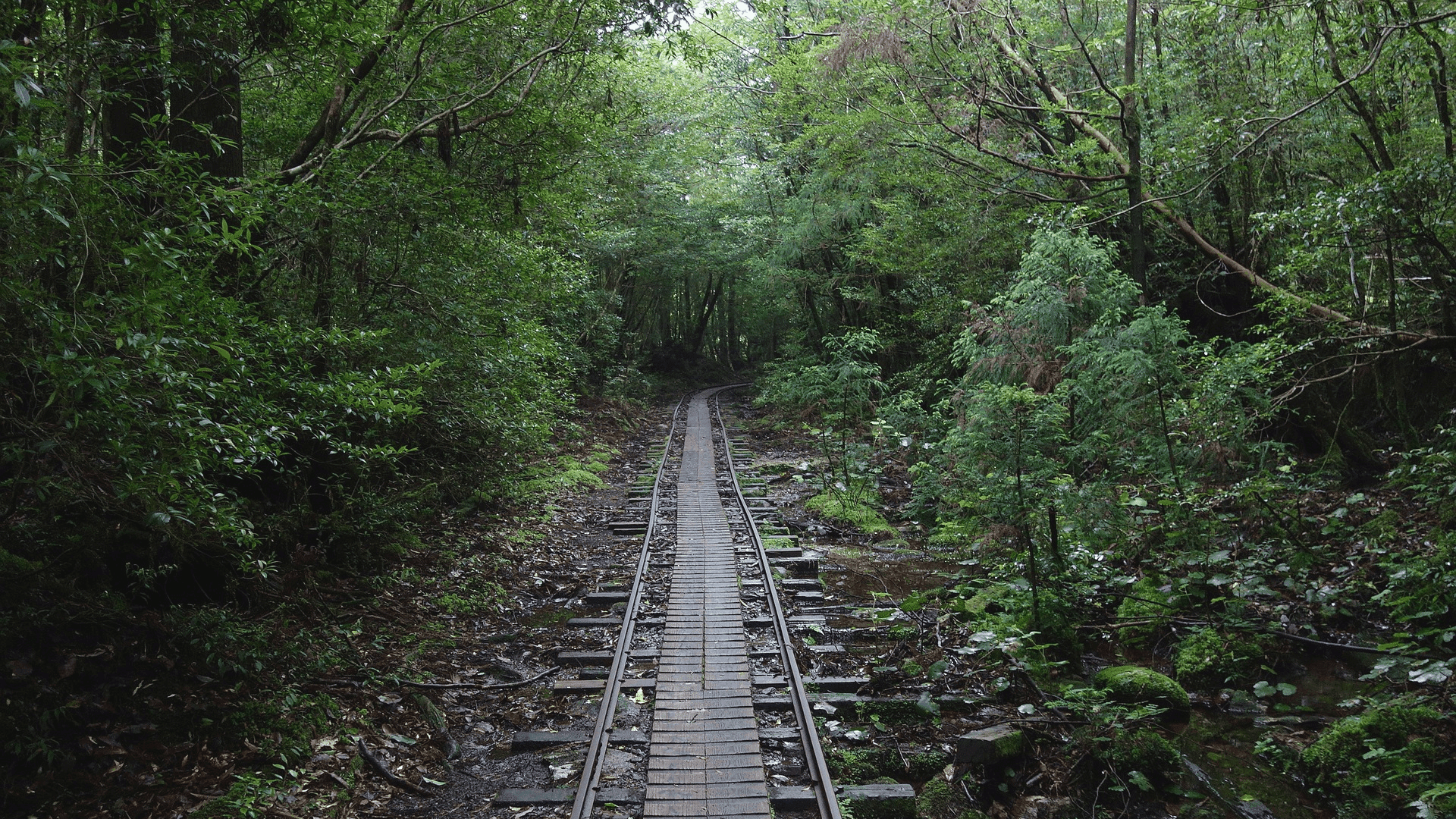 私は〇〇のために運動する」藤原紀香さんが語る健康管理で気遣っている 私は〇〇のために運動する」藤原紀香さんが語る健康管理で気遣っている