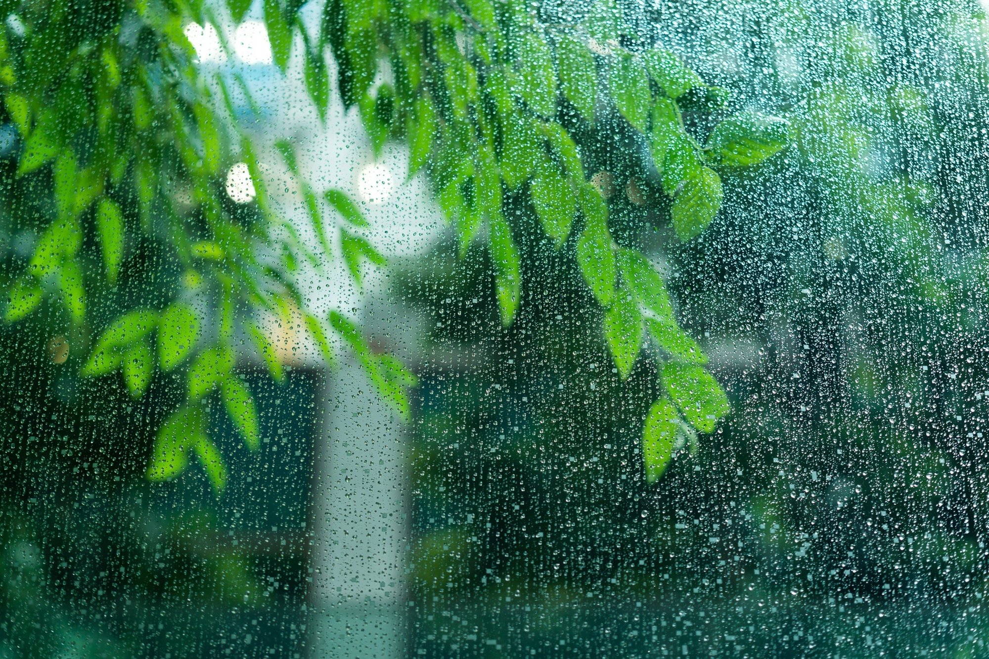 五月雨 さみだれ は 6月の雨 だった 五月 の謎を追う 小野照崎神社 Note 五月雨 さみだれ は 6月の雨 だった 五月 の謎を追う 小野照崎神社 Note