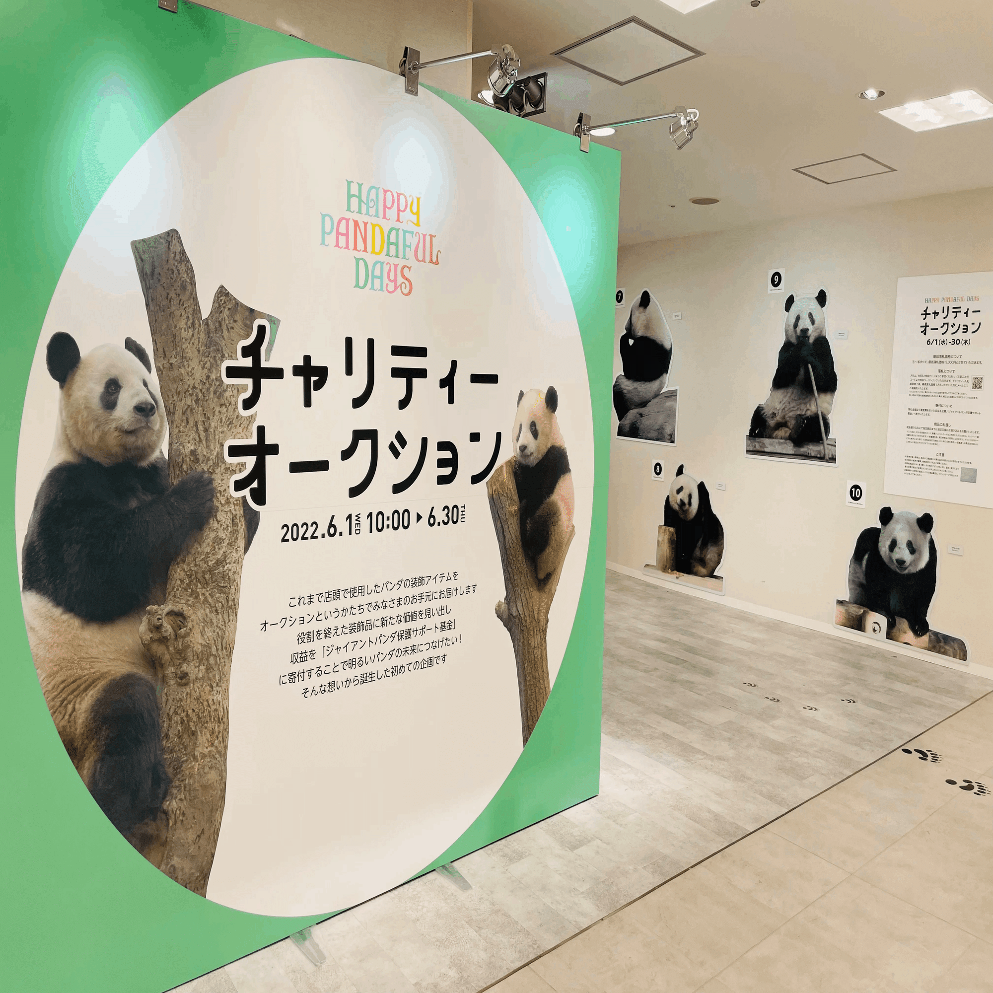 ハッピーパンダフルデイズ開催中！（6月1日〜30日）｜上野案内所