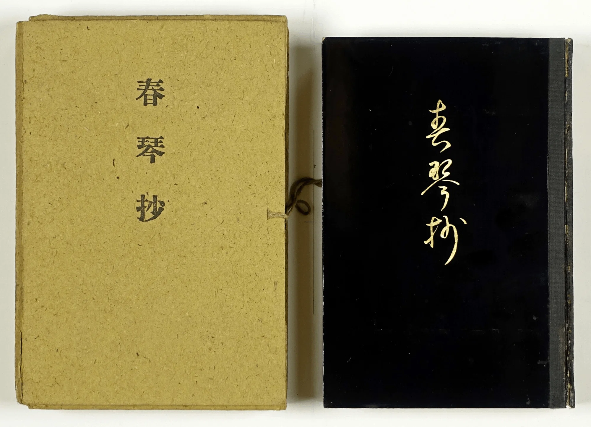 谷崎潤一郎『春琴抄（しゅんきんしょう）』｜俗語半解