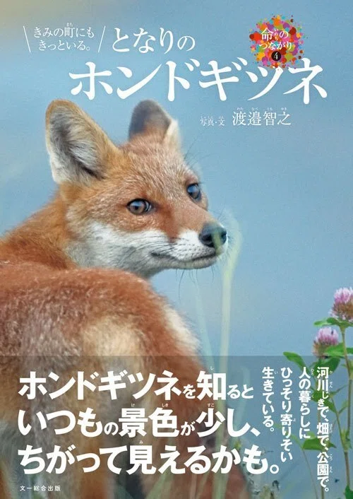 キツネ（プロフ必読) 6月30日開催）写真家・渡邉智之 ZOOM配信オンライントーク｜ブンイチ