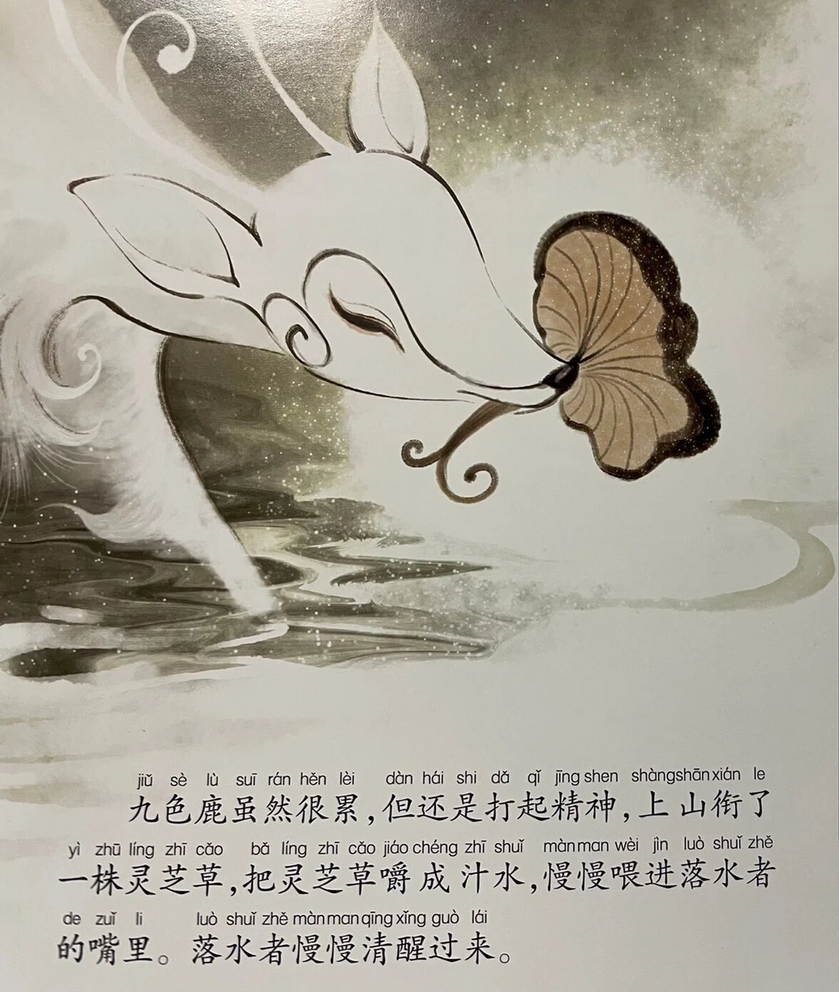 珍品　中国語版　ウィン　ARS9 暨南大学中文教材第8册(新版, 1套, 含课本及A, B练习本), Jinan
