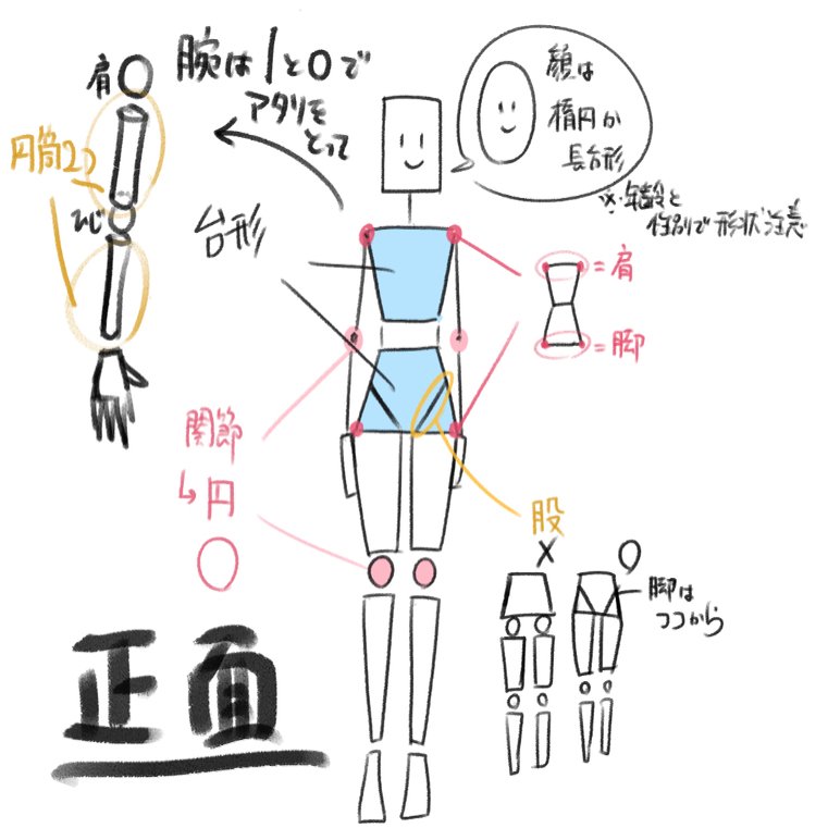 体の描き方 1 プロポーションとポーズの基本 解説つき ひろきぽ コミックタッチの似顔絵師 Note