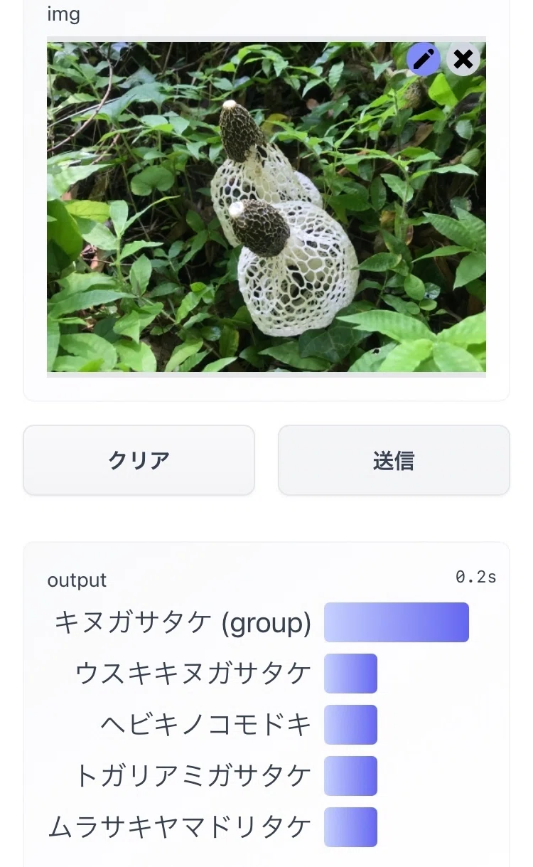 きのこんぐさん確認用画像｜車