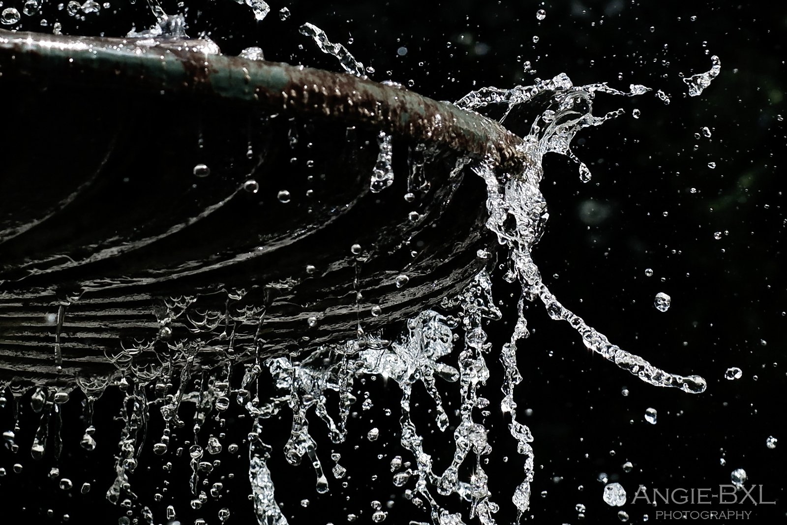 水飛沫 Angie Bxl Note