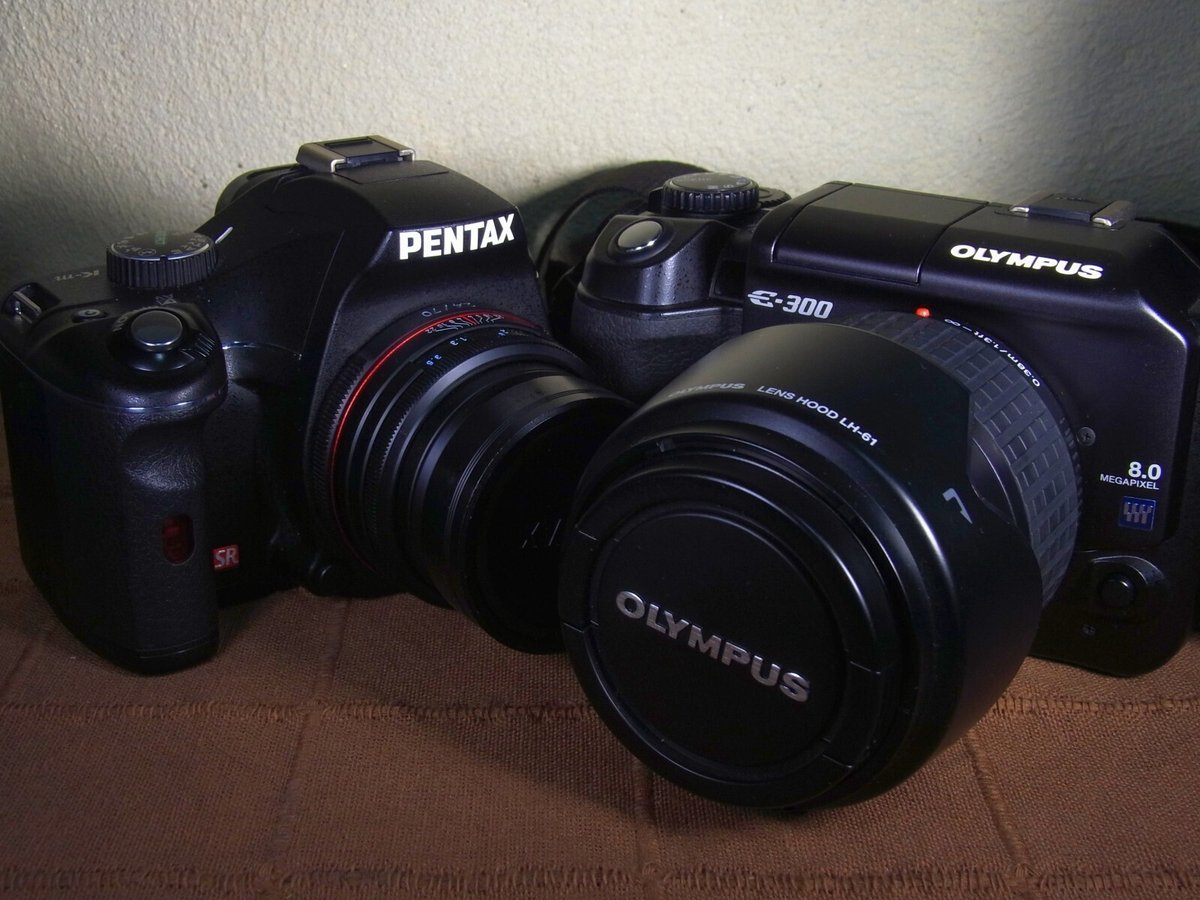 平たい頭族(OLYMPUS E-300)｜夢望庵 / Mubou-an 