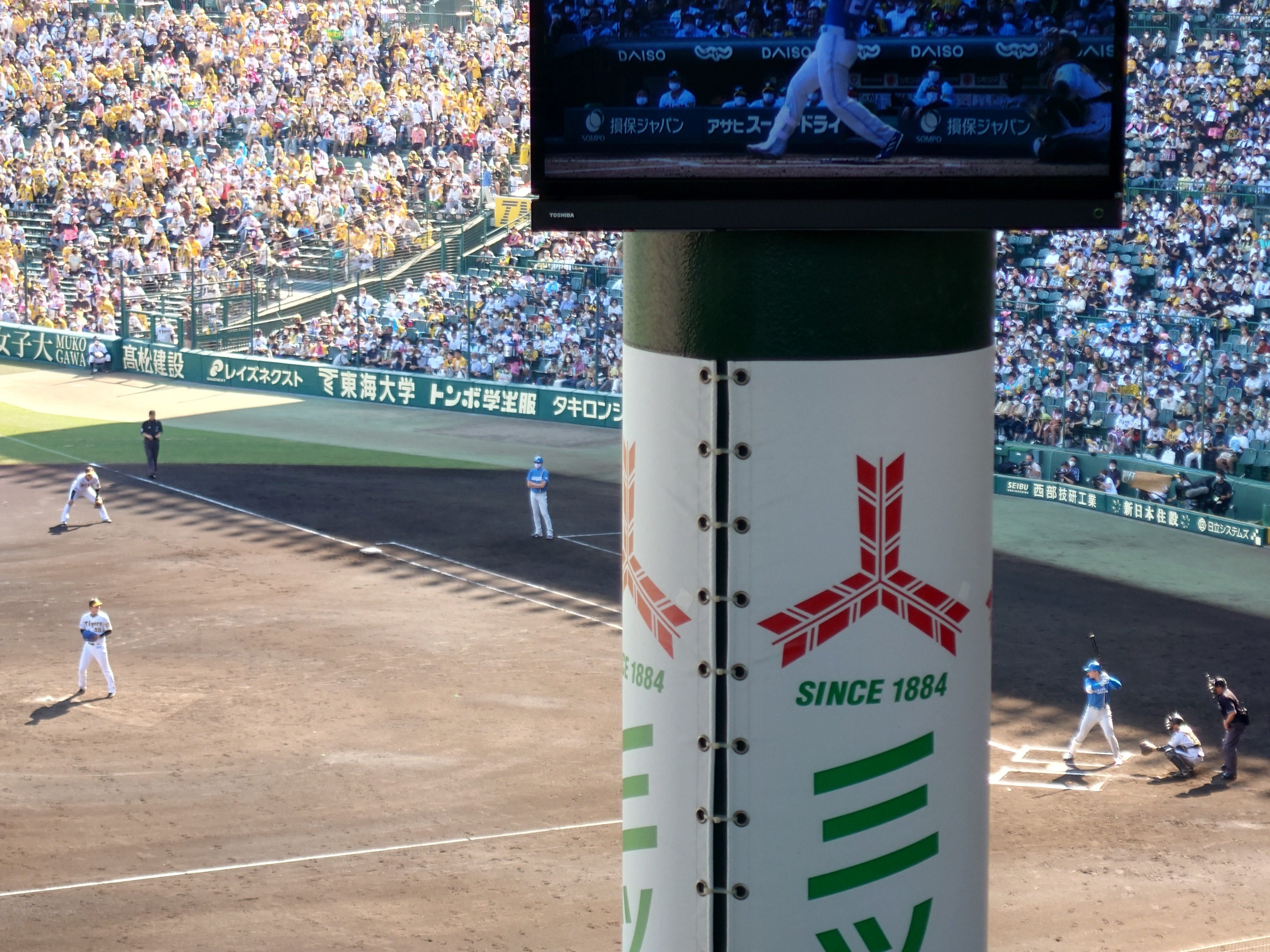 1名さま　A4サイズ　額縁あり　野球場背景 野球場に横たわる野球ボール、シーズン開始のコンセプト 写真