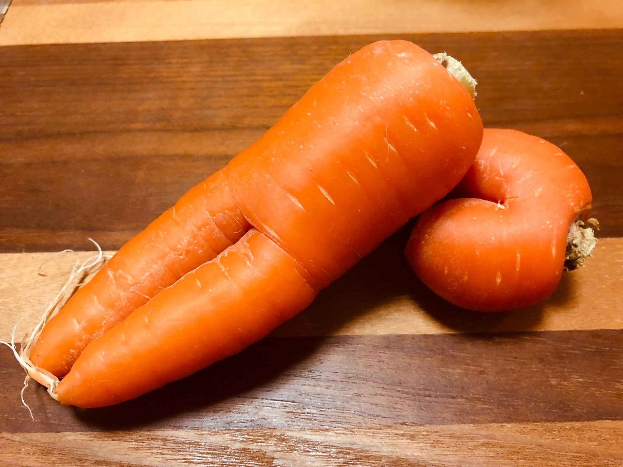 森羅万象膝枕現象 人参膝枕 にんげんは ほぼにんじん 脚本家 今井雅子 Clubhouse朗読 膝枕リレー Note 森羅万象膝枕現象 人参膝枕 にんげんは ほぼにんじん 脚本家 今井雅子 Clubhouse朗読 膝枕リレー Note