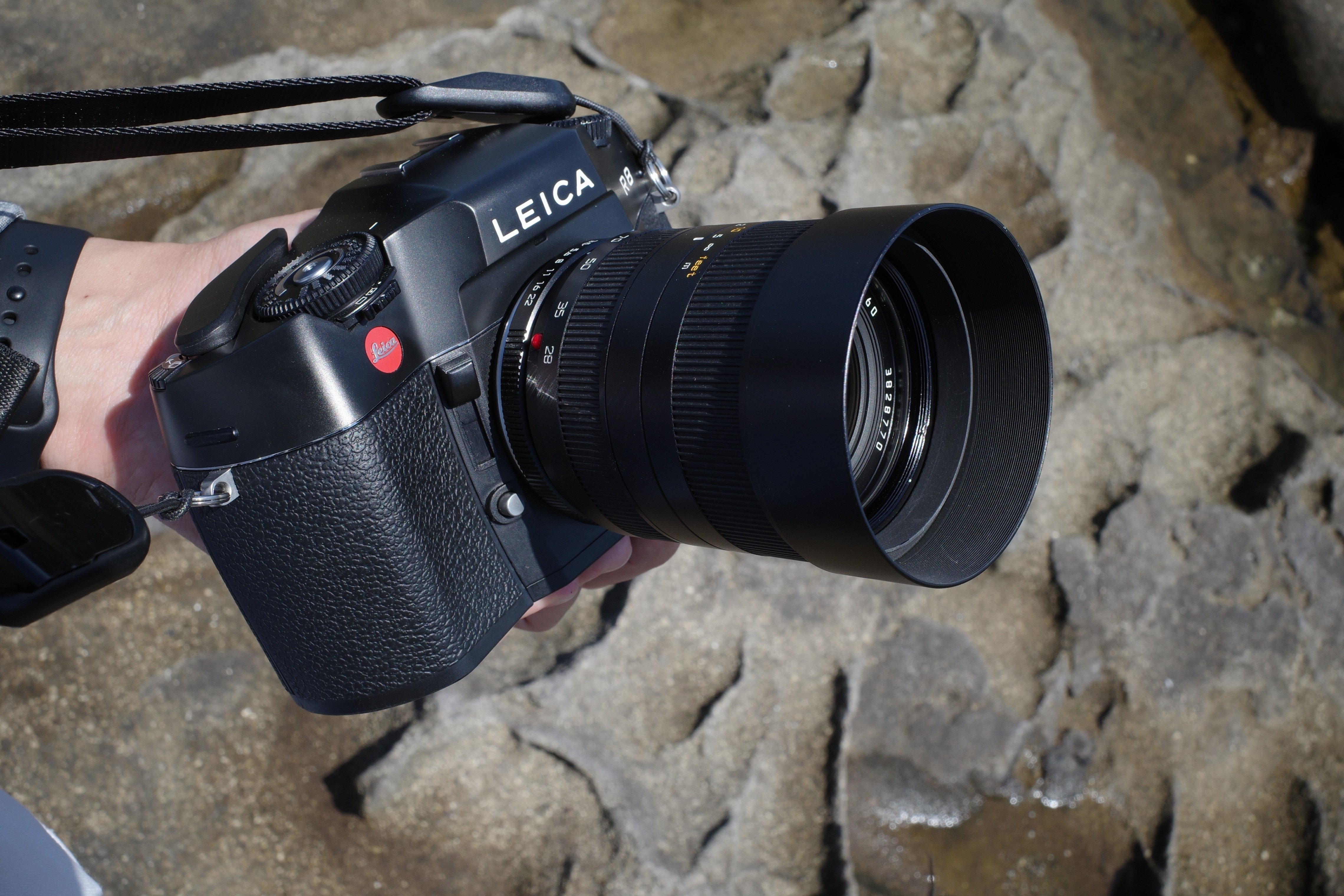 Leica R8とKodak ULTRAMAX 400で撮る初夏の海｜セバス（Sebastian