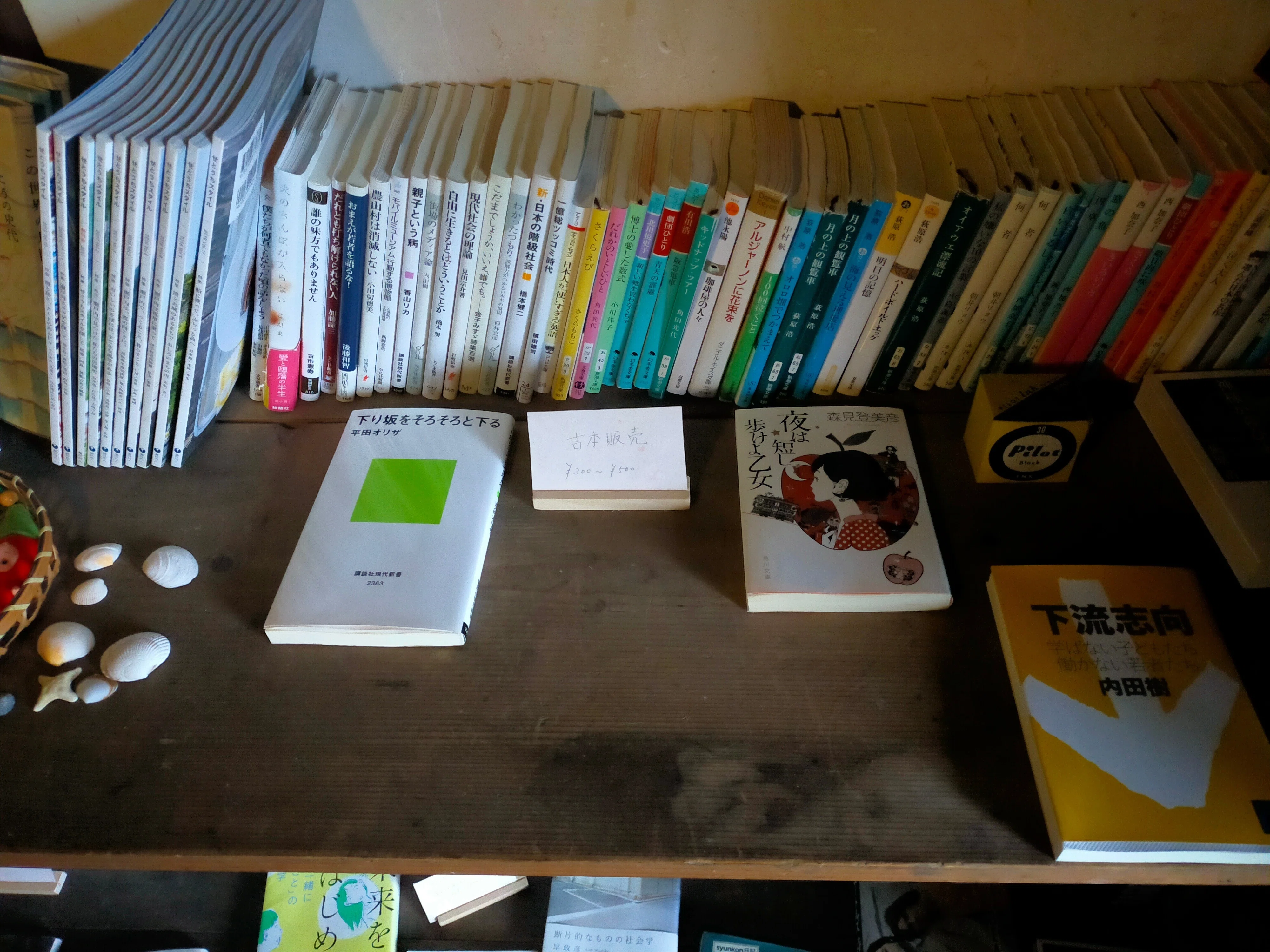 Letting Books Travel｜からちゃん | 島旅農園「ほとり」～本とお手紙の宿～