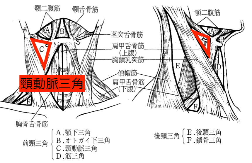 頸部痛の理学療法〜苦手意識を克服したいセラピストへ