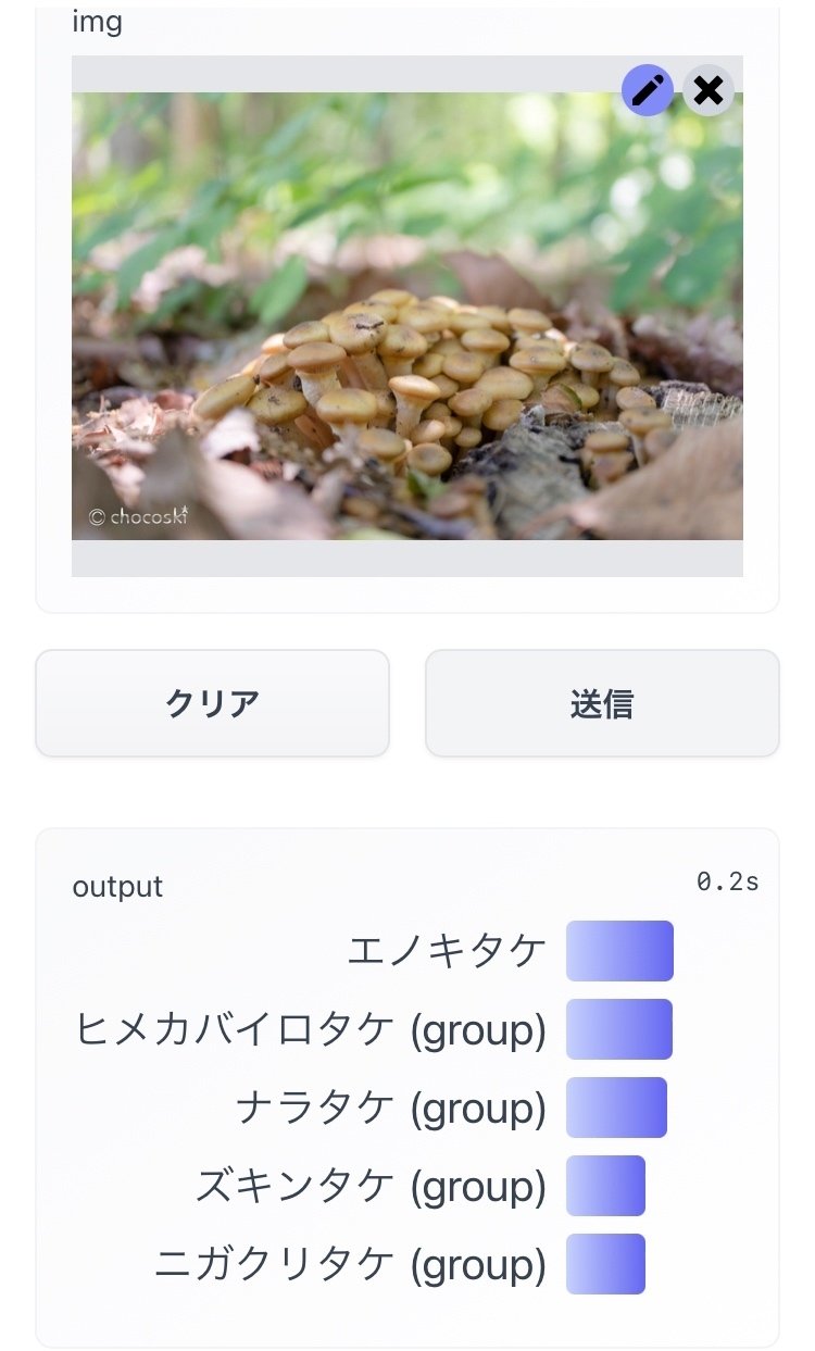 番外編＊きのこ判別アプリは正しく同定されるのか｜ちょこすき～☆きのこ