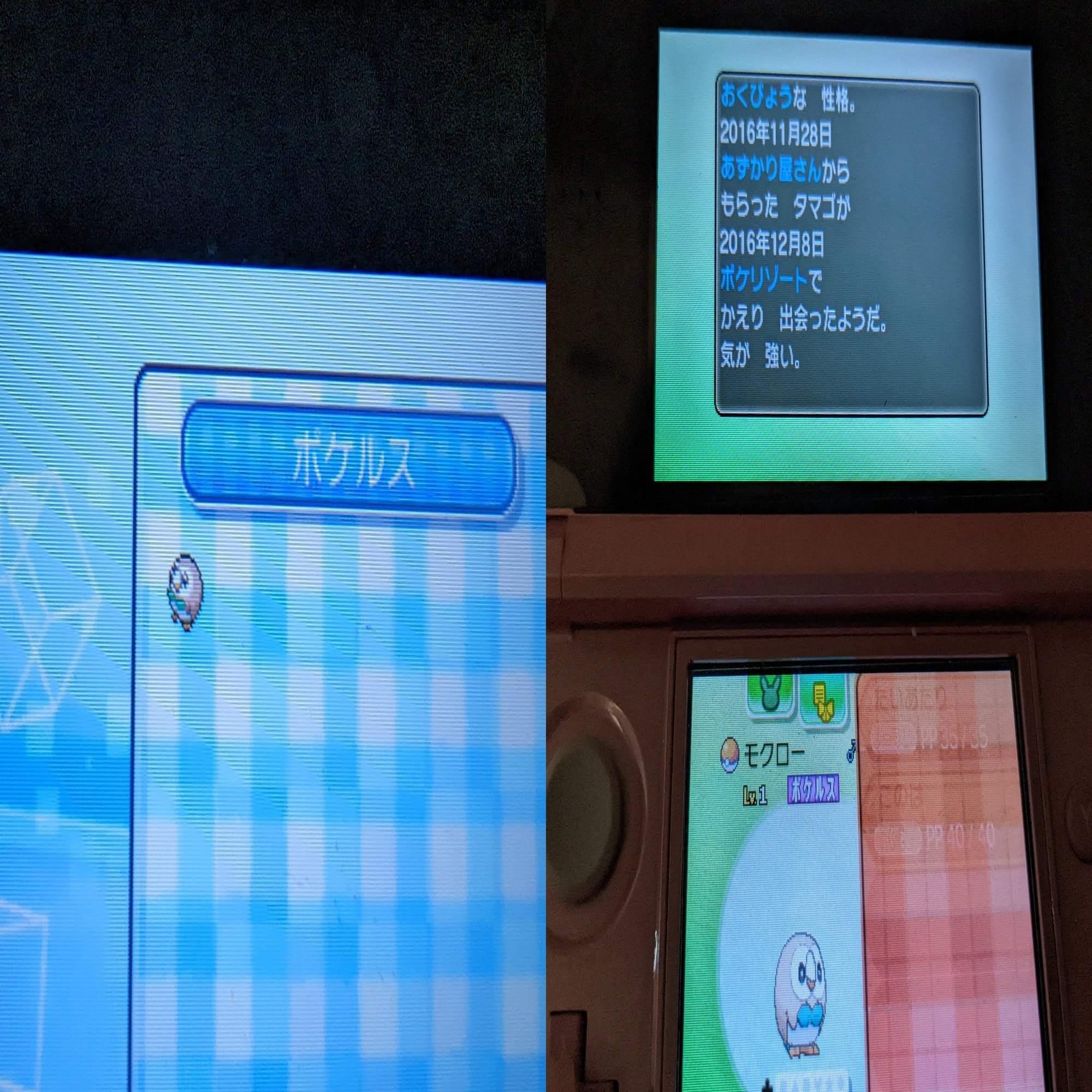 主婦ゲーマーが語る ポケモンの魅力 ゆうか 主婦ゲーマー Note
