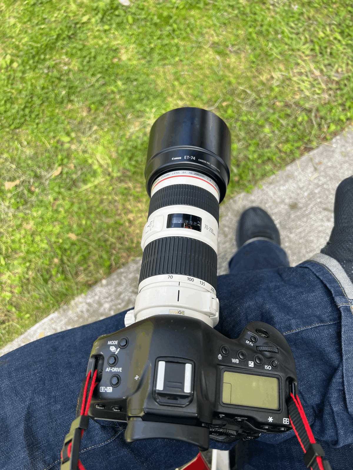 憧れのプロ機 Canon EOS 1D Xの10年遅いレビューっぽいなにか