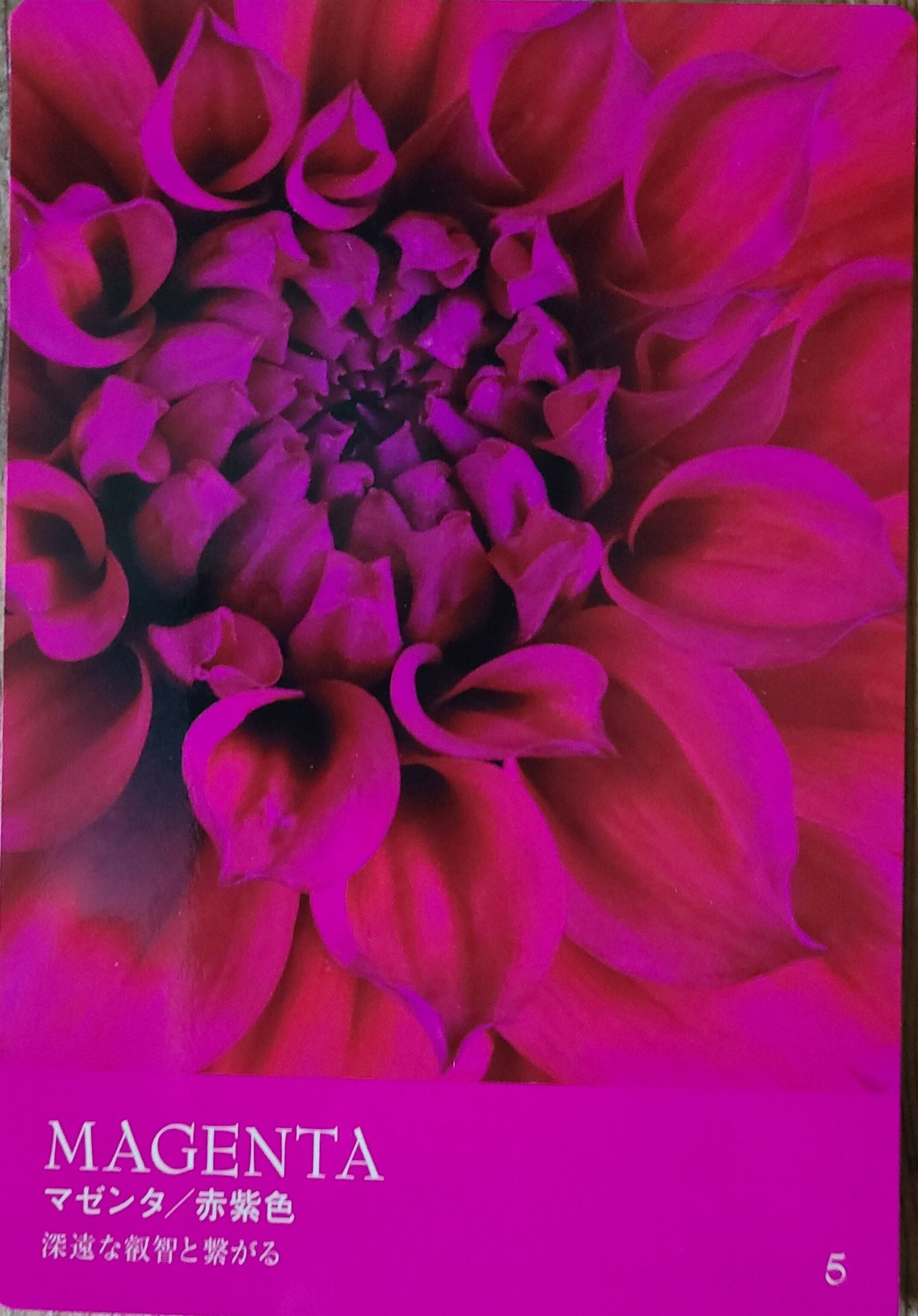 月並みですが やっぱり自分という人間を信じる事です 猫石三十三 Note 月並みですが やっぱり自分という人間を信じる事です 猫石三十三 Note