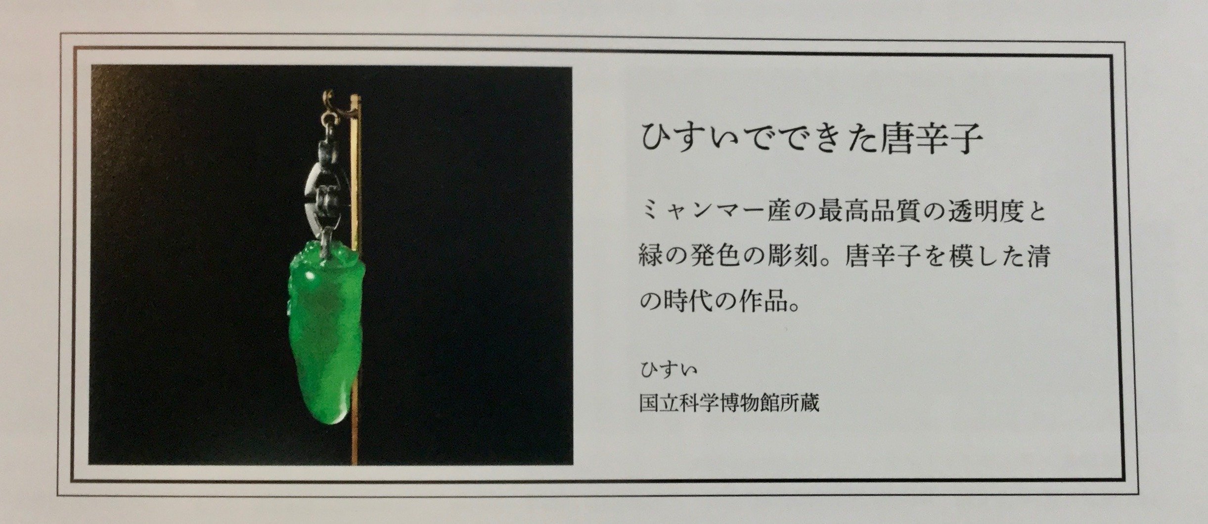 翡翠のタマシイ｜桂田祐介