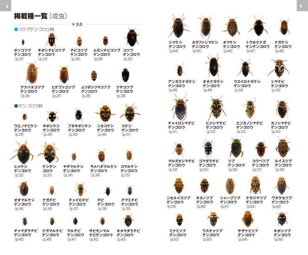 初夏に使える! ブンイチの図鑑 Part2|ブンイチ(文一総合出版) 初夏に使える! ブンイチの図鑑 Part2|ブンイチ(文一総合出版)