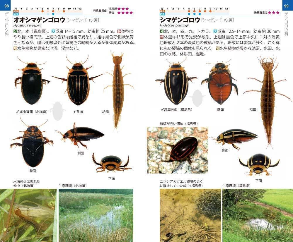 初夏に使える！ ブンイチの図鑑 Part2｜ブンイチ（文一総合出版）