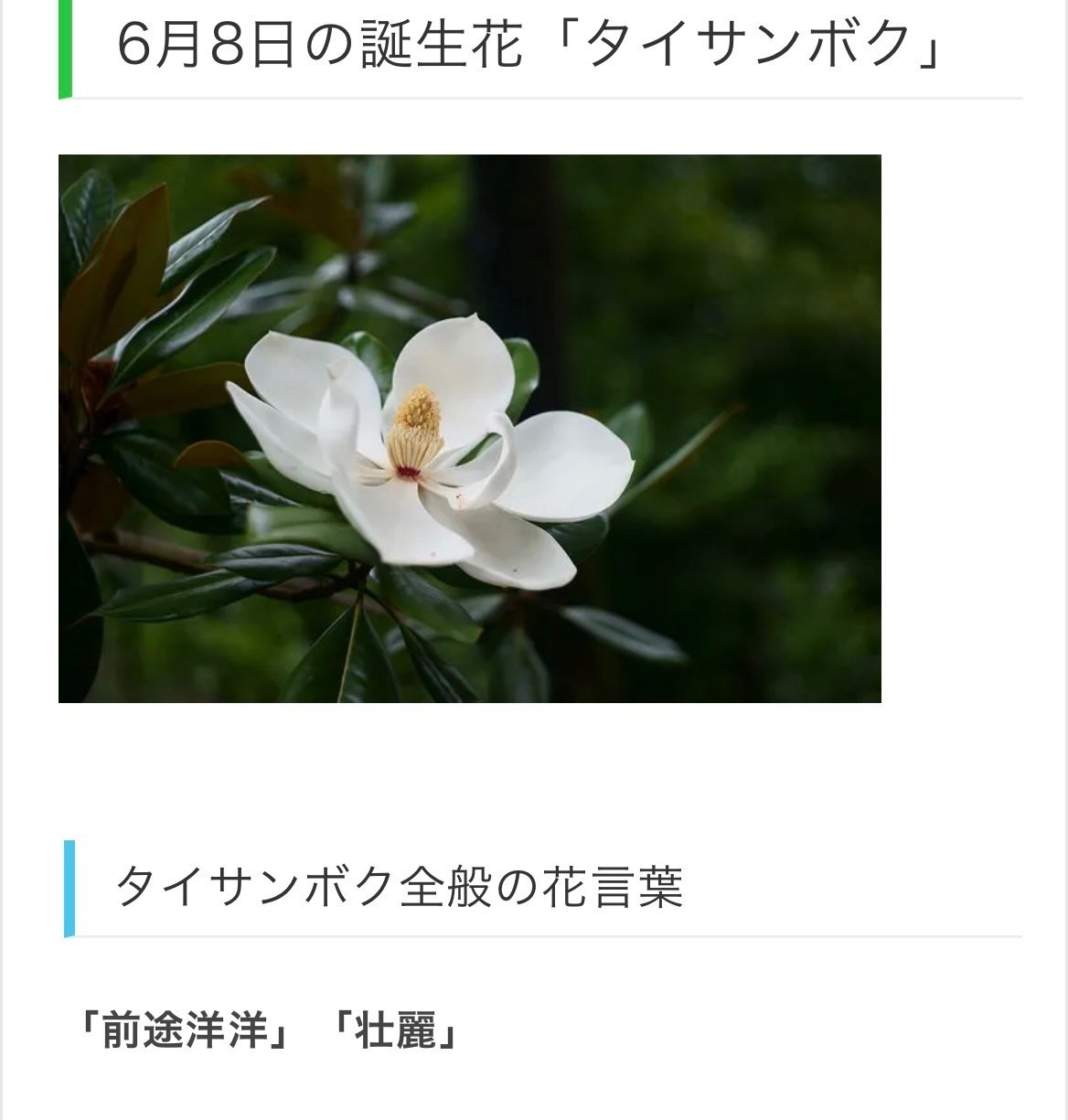 6月8日生まれのあなたへ Chiyo Note