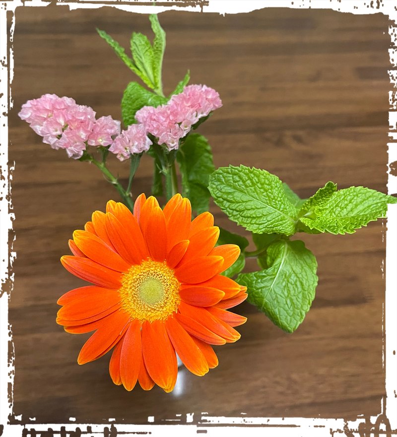 何時ぞやのお花の定期便💐オレンジのガーベラとピンクのスターチス、そして珍しいと思ったのがペパーミント🌱ラベンダーはよく造花で生けるけれど、まだ生花でも飾った経験がない。初めて飾るハーブがこのペパーミントになる✨ちゃんと良い香りがしました♪